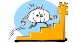怎樣利用大蒜冷庫進(jìn)行保鮮？